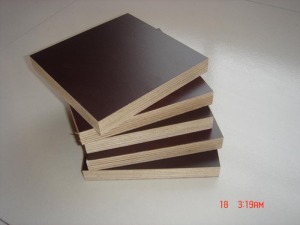 Brown Film Faced Plywood/Shuttering Plywood