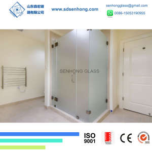 3/8 Acid Etched Swing Sliding Frameless Tempered Glass Shower Door